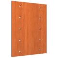 Spot25 Type5  Панель гондолы, SO.25.0502.MDF